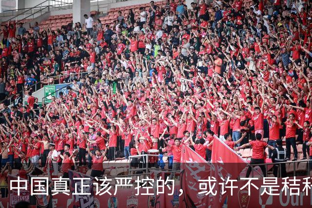 中国真正该严控的，或许不是秸秆焚烧，而是大范围使用农药
