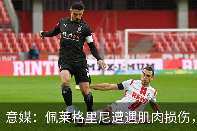 意媒：佩莱格里尼遭遇肌肉损伤，明日接受仪器检查评估伤情