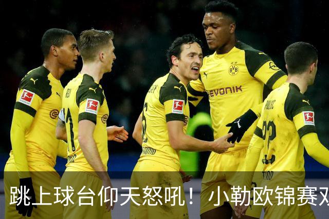 跳上球台仰天怒吼！小勒欧锦赛双冠创6纪录 一门双杰书写法乒新历史