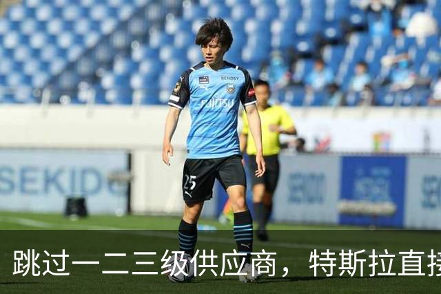 跳过一二三级供应商，特斯拉直接杀到第四级砍价