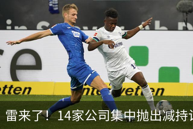 雷来了！14家公司集中抛出减持计划，有你的持仓吗？